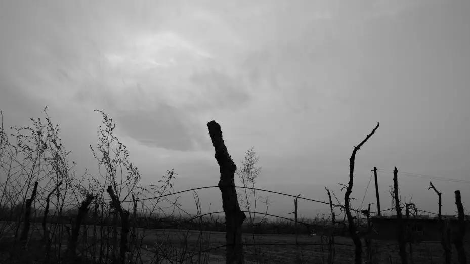 曾国藩的十句话不能看,曾国藩永远不能说出口的6句话