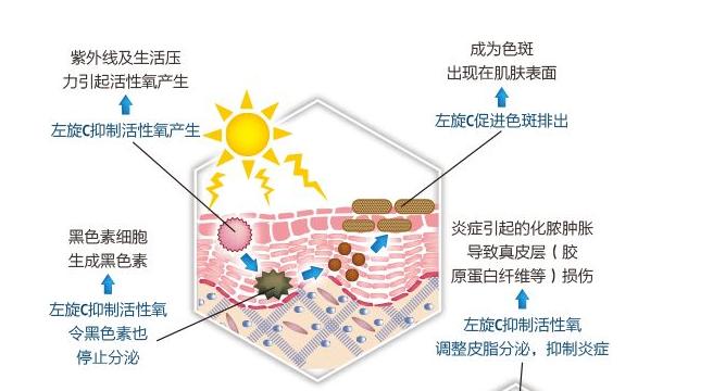黑色痘印怎么能彻底消除,黑色痘印怎么消除小妙招视频