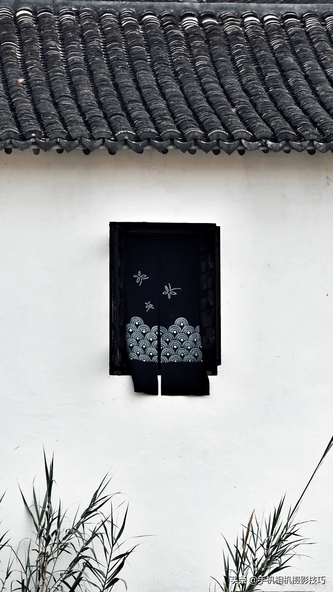 18幅普通人拍出来的好照片,18张普通人拍出来的好照片