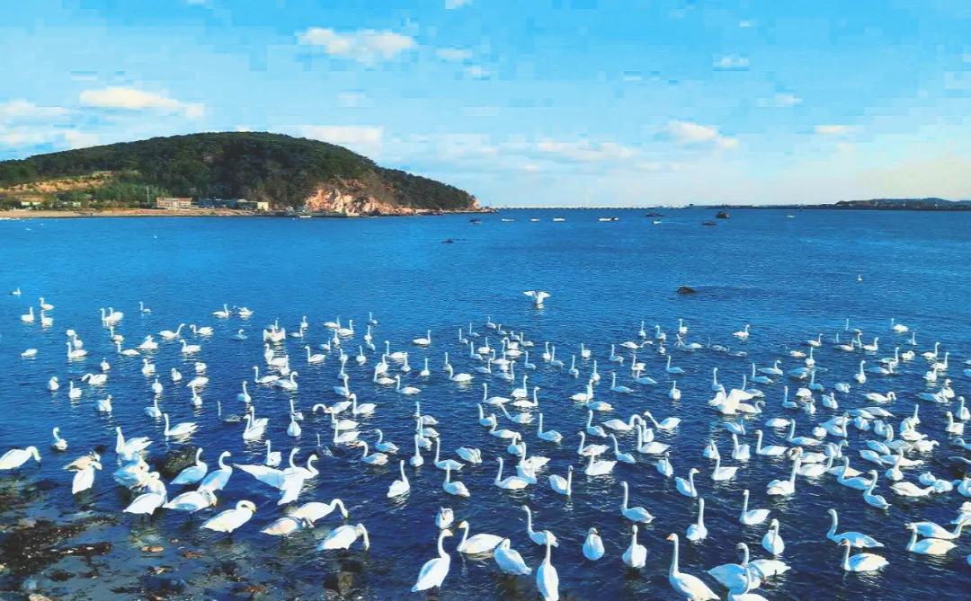 又一条最美自驾线路,又一条绝美进藏自驾公路