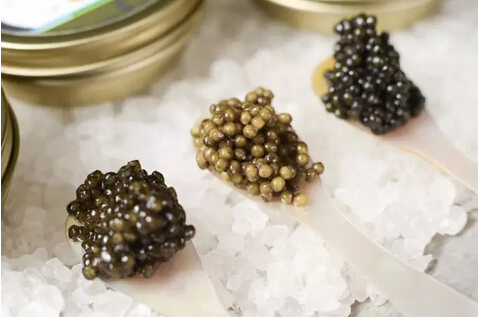 顶级食材黑鱼子酱,什么食材比鱼子酱还贵