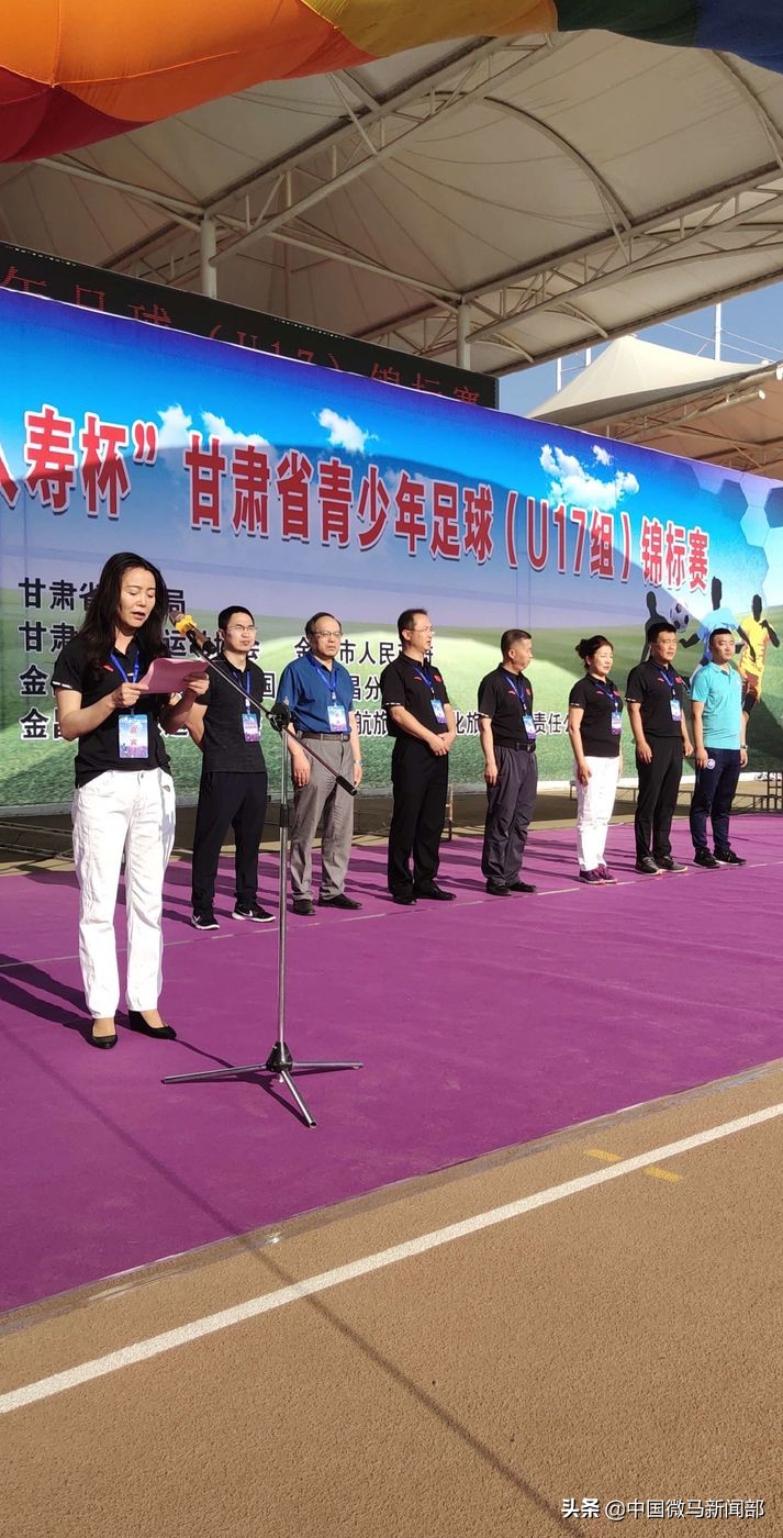 全国青少年足球联赛2024甘肃,2020甘肃省足球青少年锦标赛