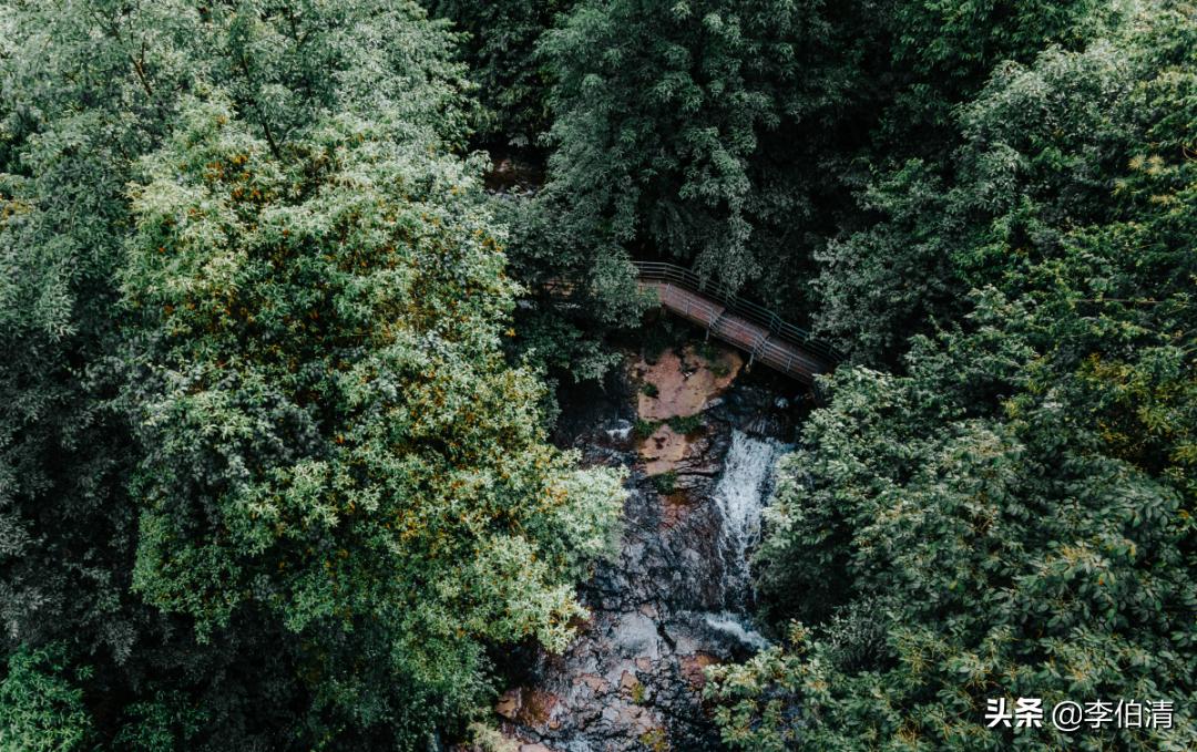 论耍，川A大军，世界第一！（内含免费耍福利）