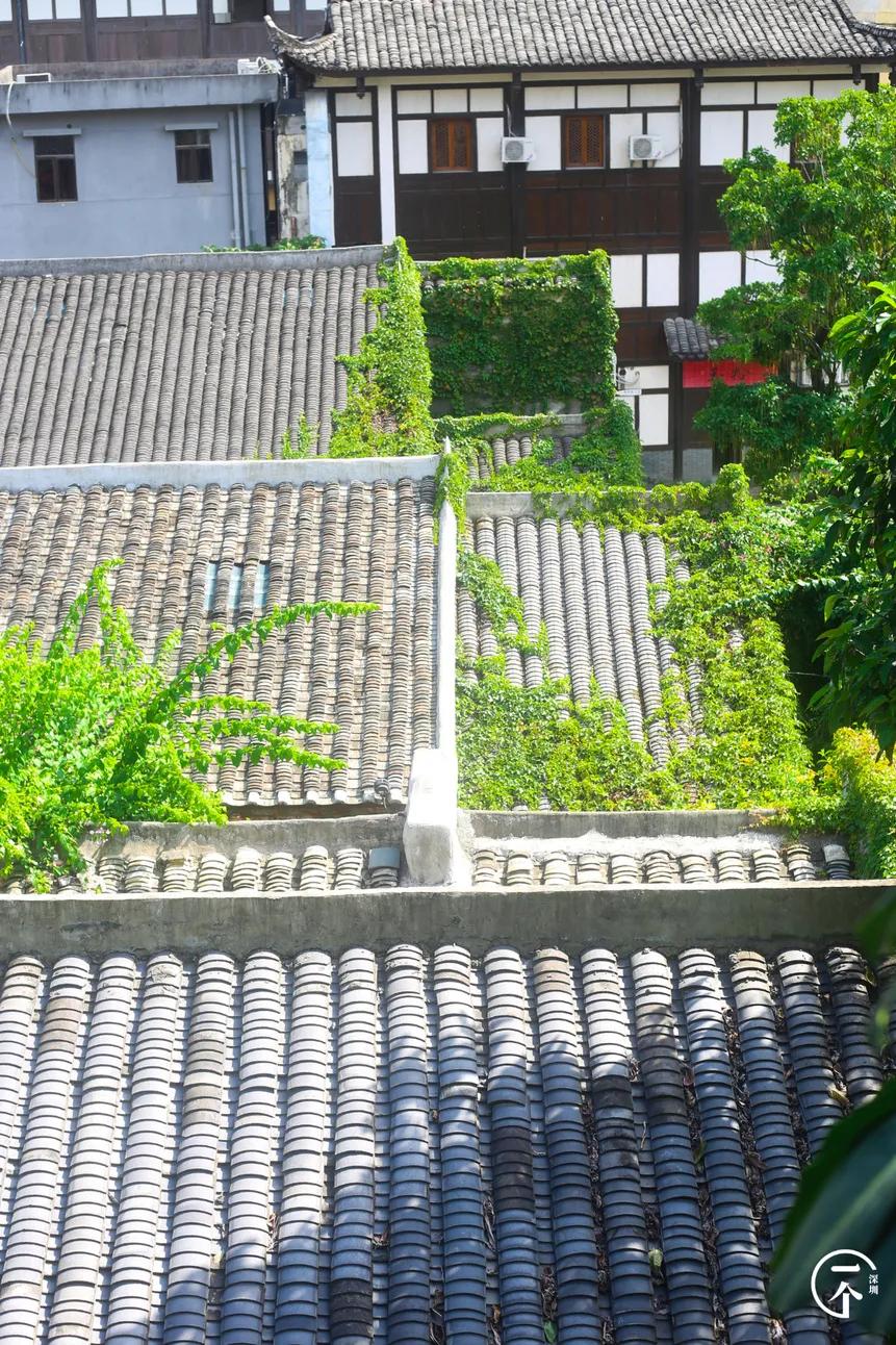 深圳甘坑客家小镇要门票吗,深圳客家小镇在什么位置