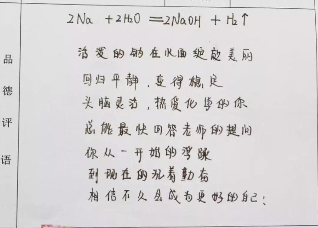 化学老师期末评语大全,化学方程式期末评语