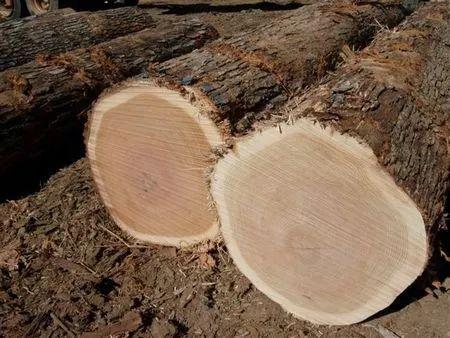 美国红橡原木制作视频,美国红橡木做现代简约风格