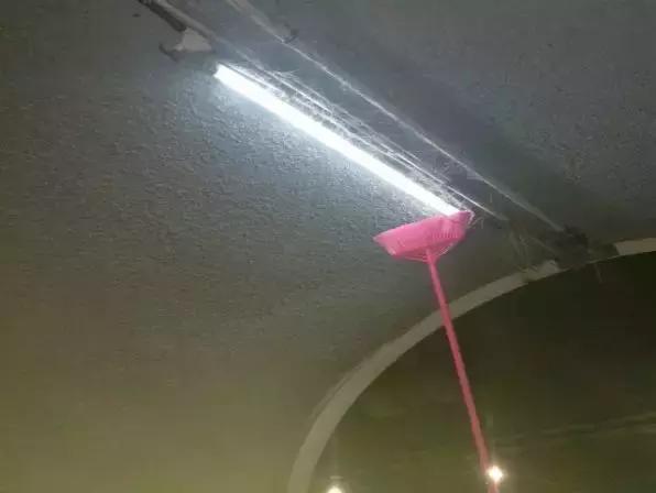 春节回家必经的隧道，不看本文我完全认不出！