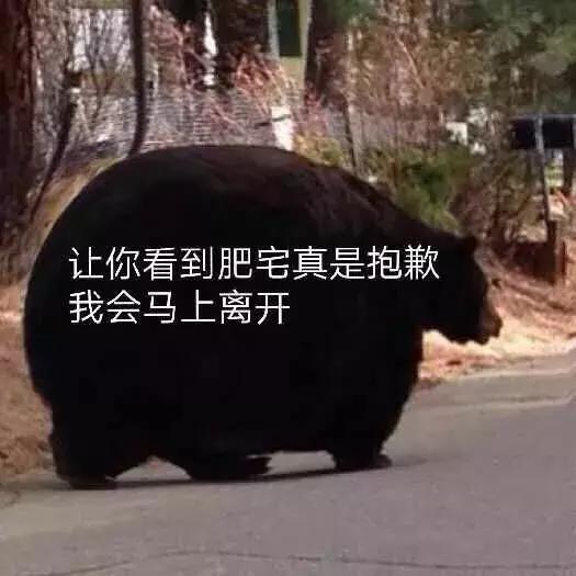 肥宅apex,apex胖子细节处理