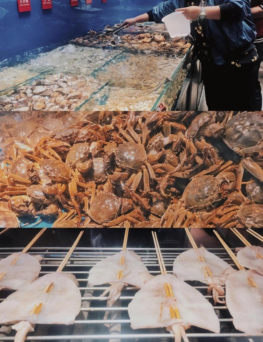 东北财经大学，一所实力不输211的老牌名校