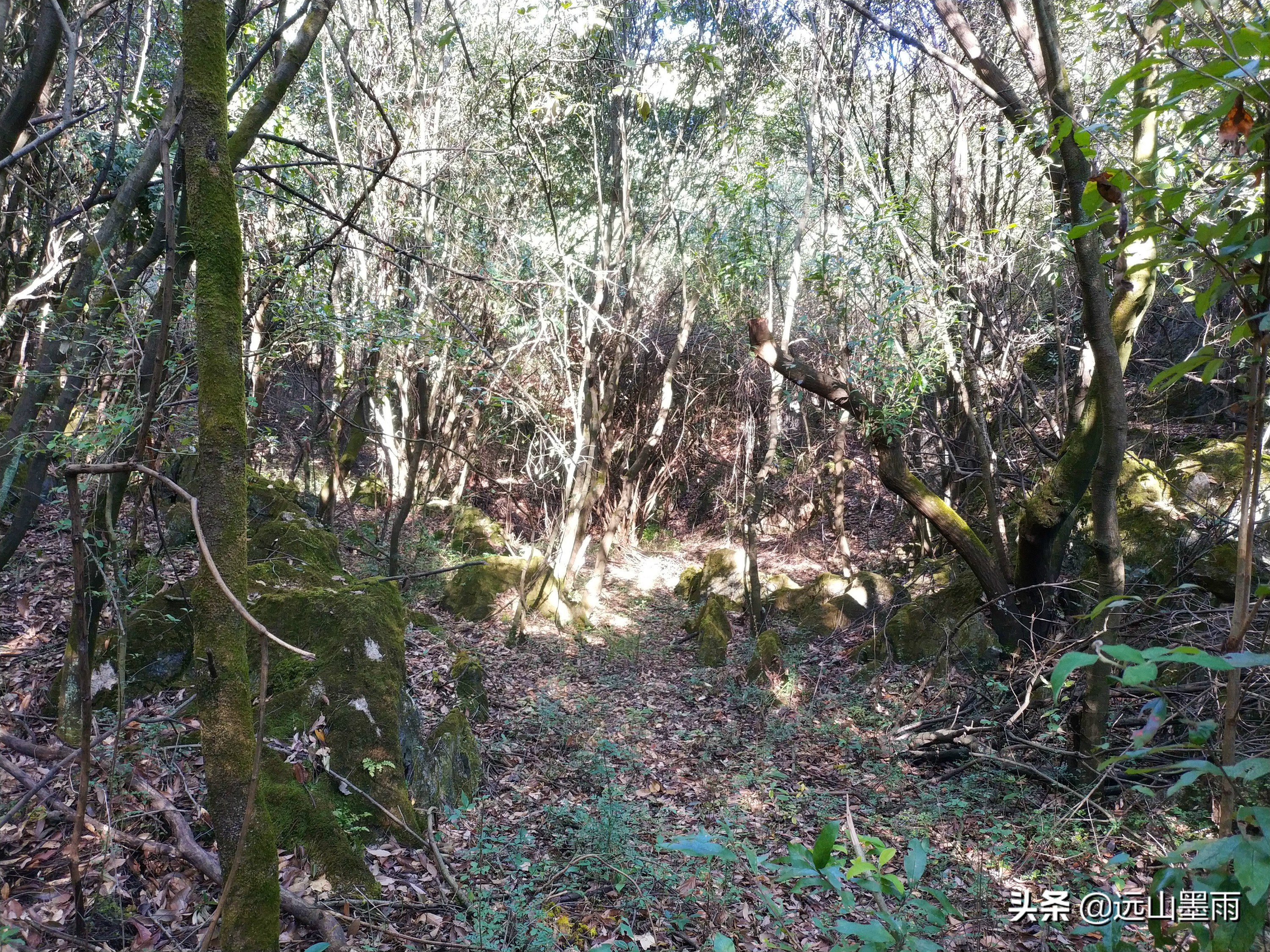 昆明陡坡村的风景非常独特,昆明可以爬山看夕阳的地方