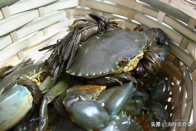 常见的鱼虾蟹等海鲜的认识,虾蟹类海鲜大全