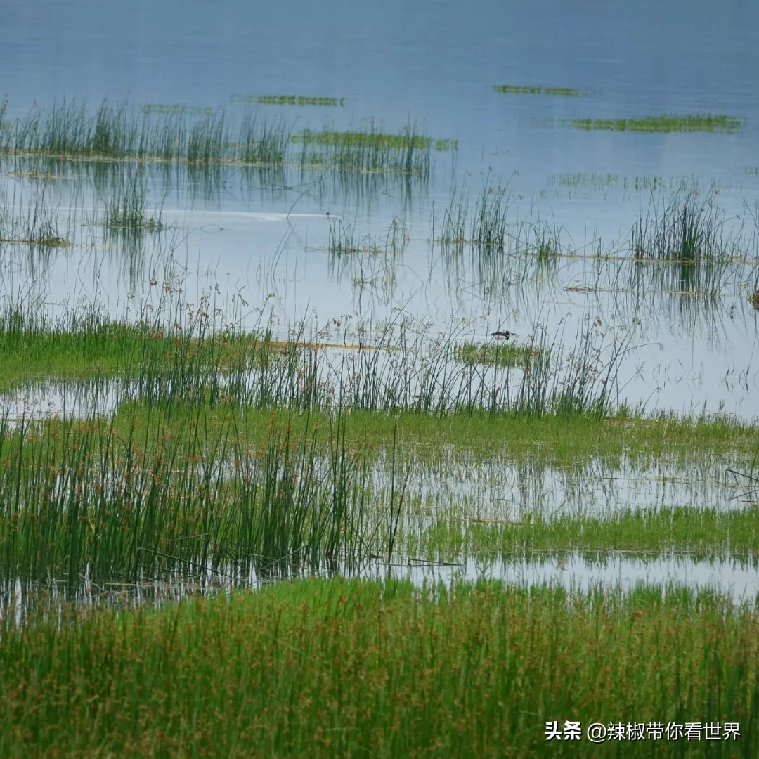 从西到东：贵州——沿河流“黔”行在这里一万种辣椒吃法向你奔来