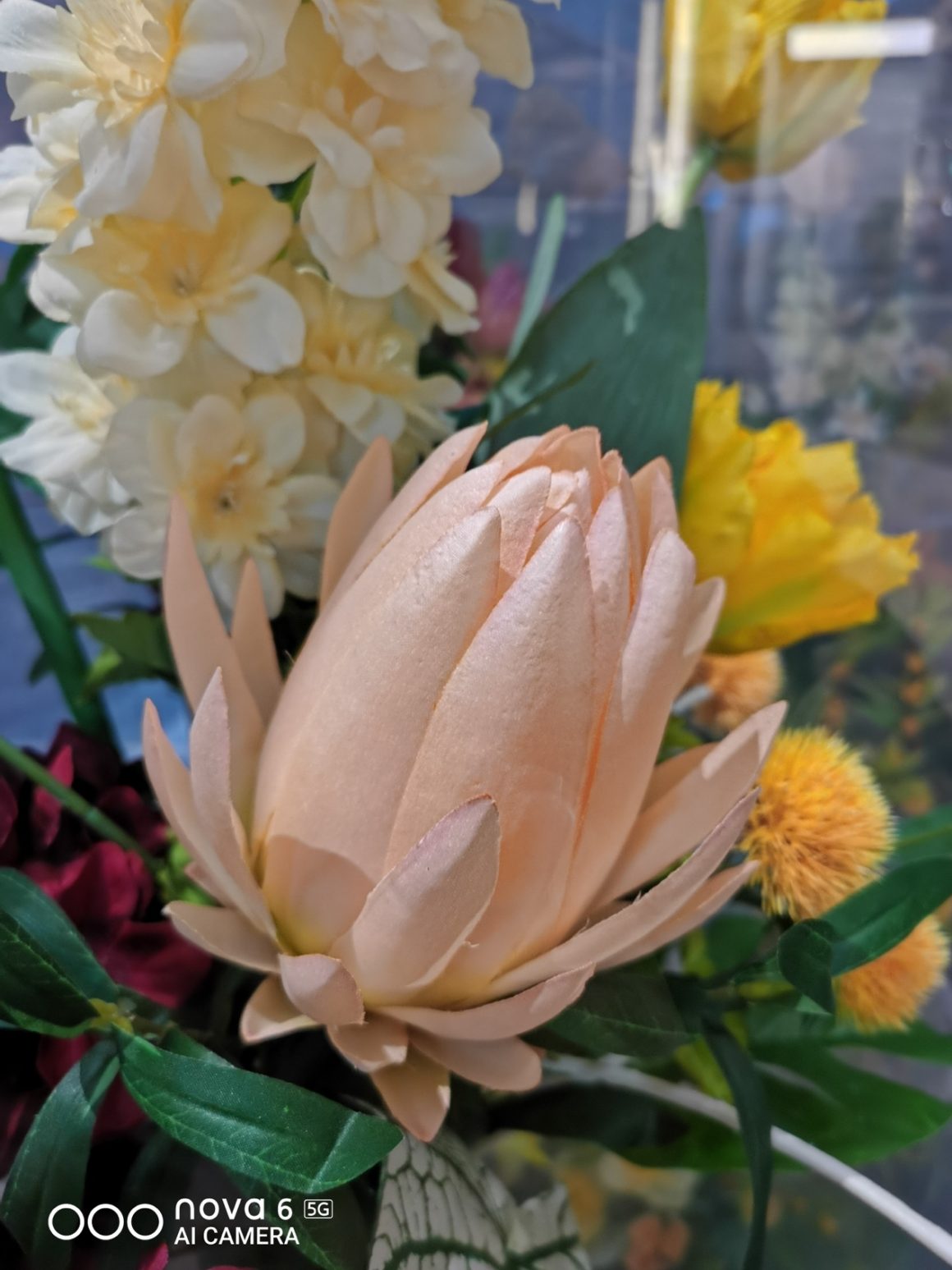 华为nova6开启预约双模5g自拍第一,华为nova6拍照对比p30谁更好