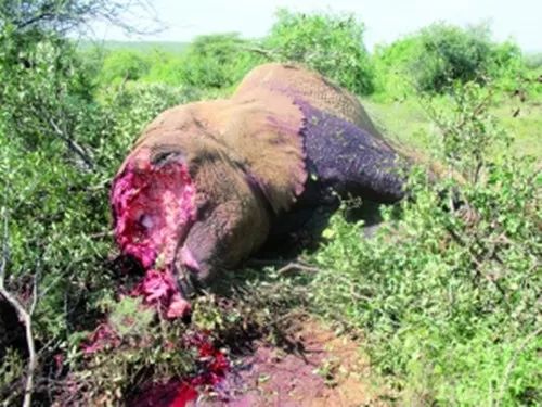 文玩的十大黑幕,文玩最让人无奈的六件事