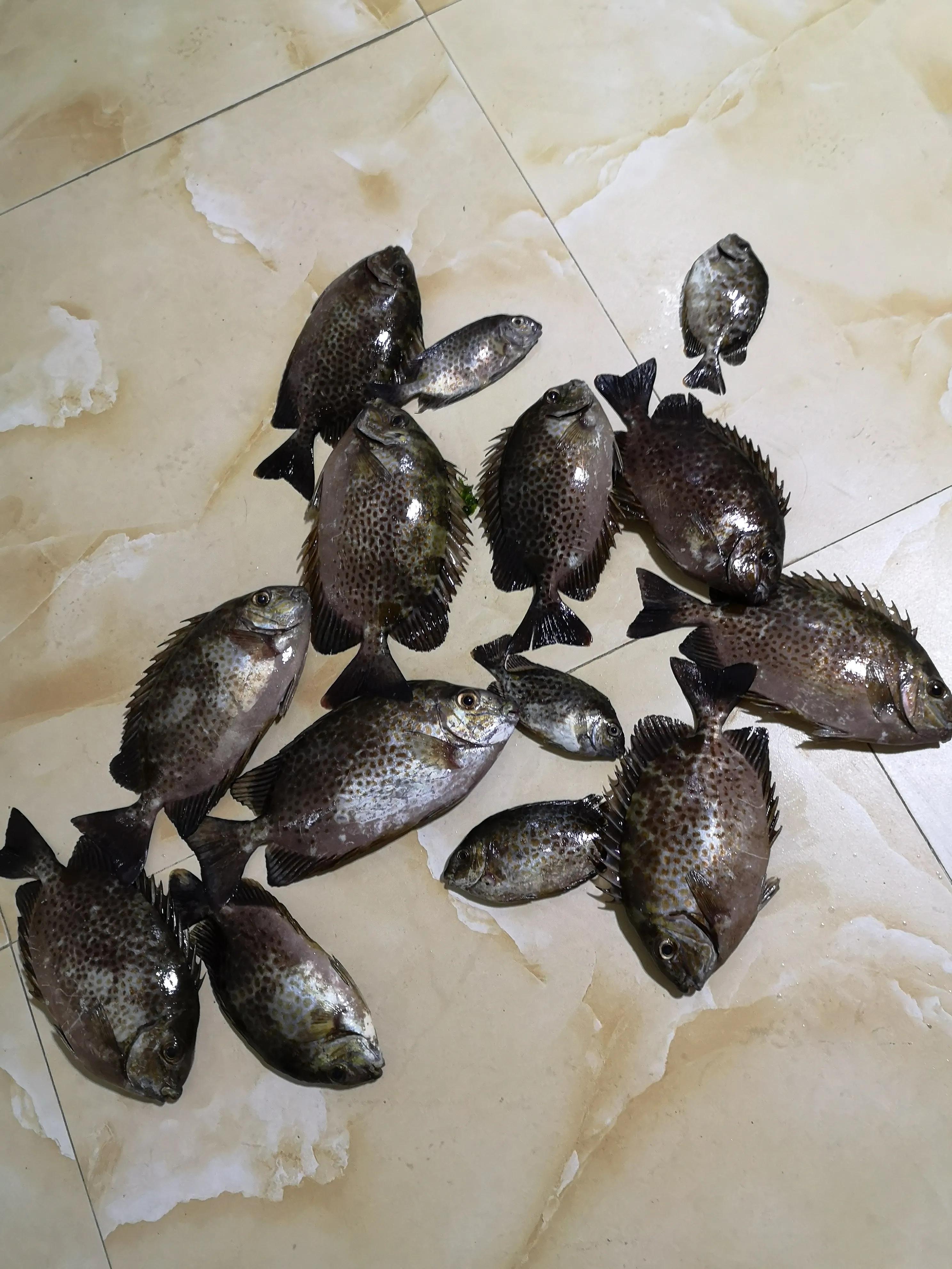 贵州大学8090后的回忆,贵州大学往事