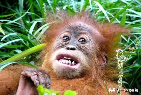 100句霸气十足的搞笑个性签名,幽默搞笑个性签名短句大全