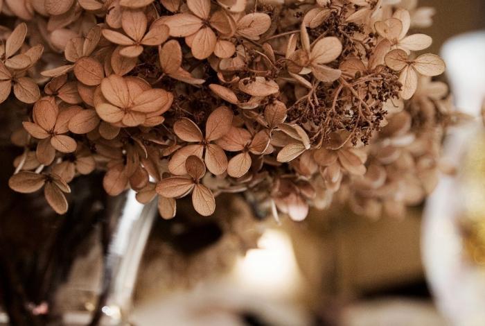 鲜花如何做成干花永久保留,鲜花如何制作成干花保留花香