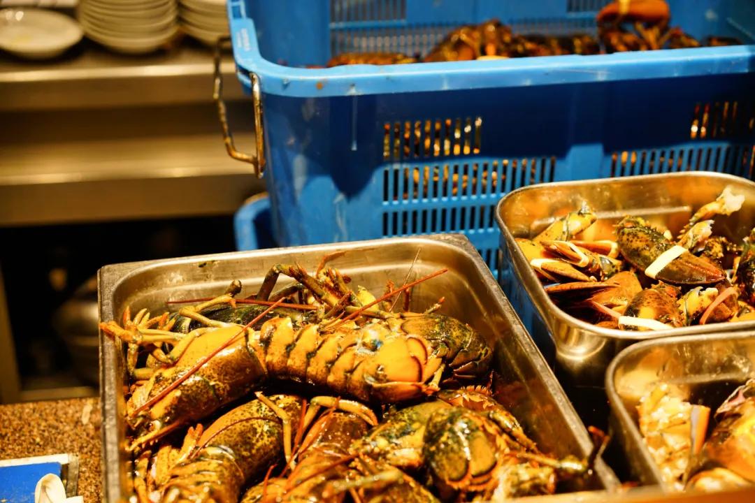 新濠影汇的米其林餐厅,澳门新濠天地有什么景点