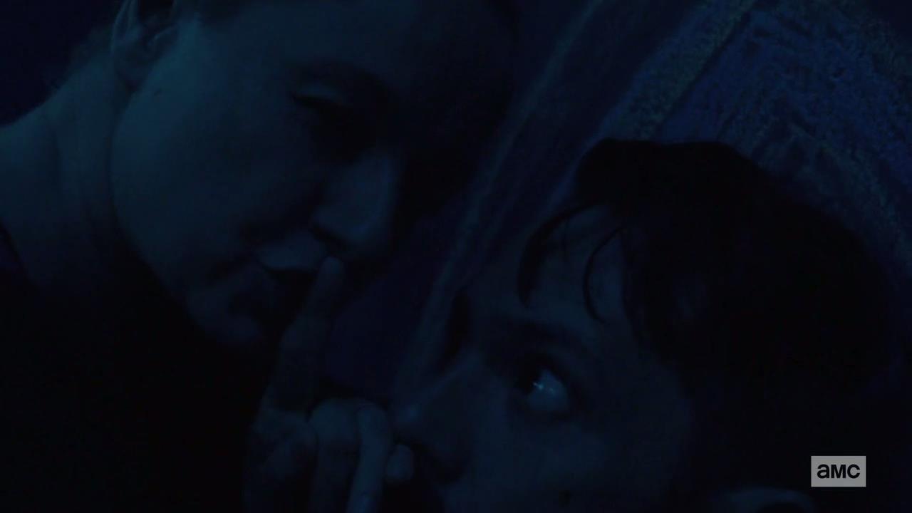 行尸走肉s01,行尸走肉9-12季讲解大全