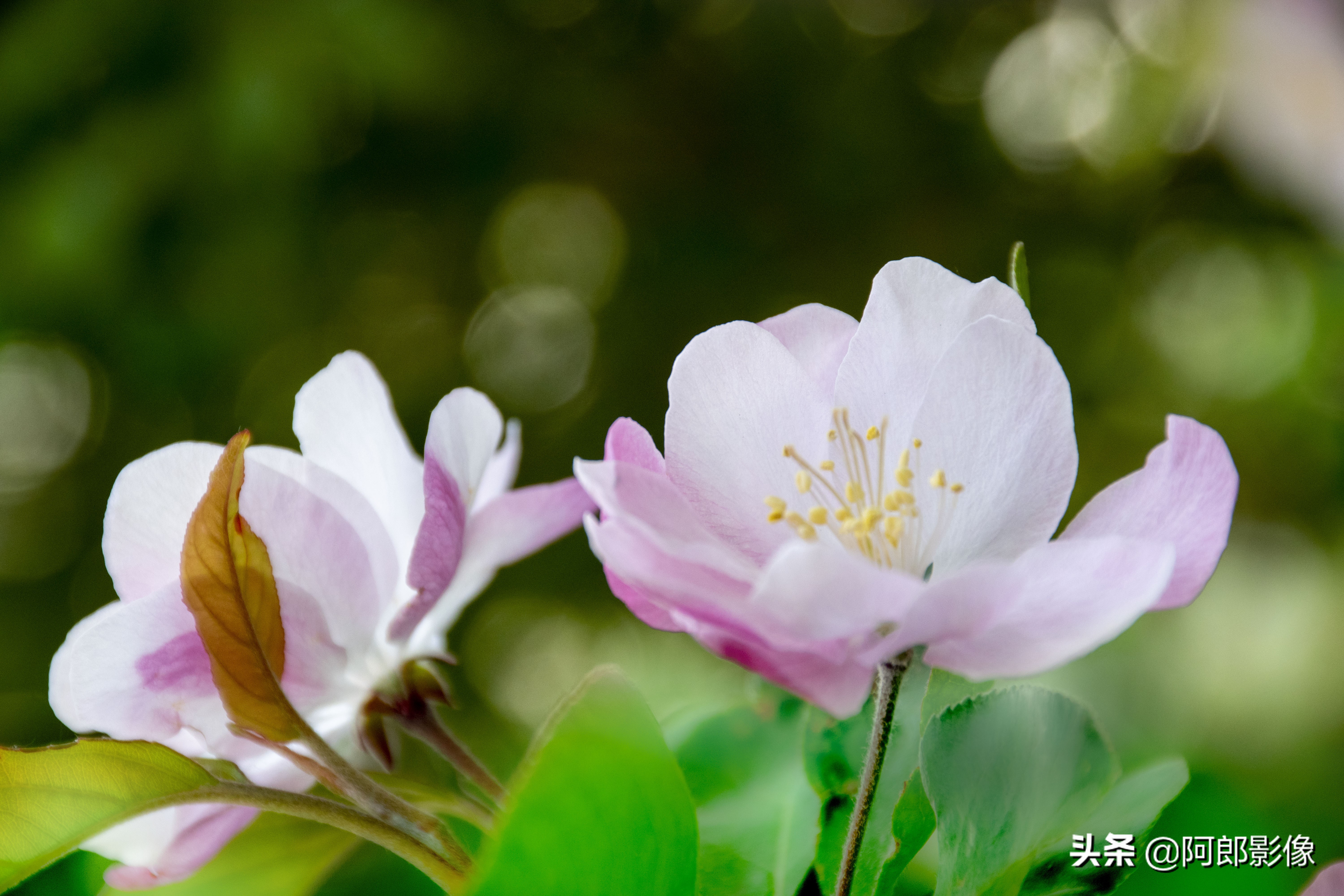 单反摄影入门必备器材清单,跟着阿牛师傅学知识