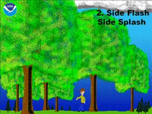 550只羊被雷劈死,500头羊被闪电劈死