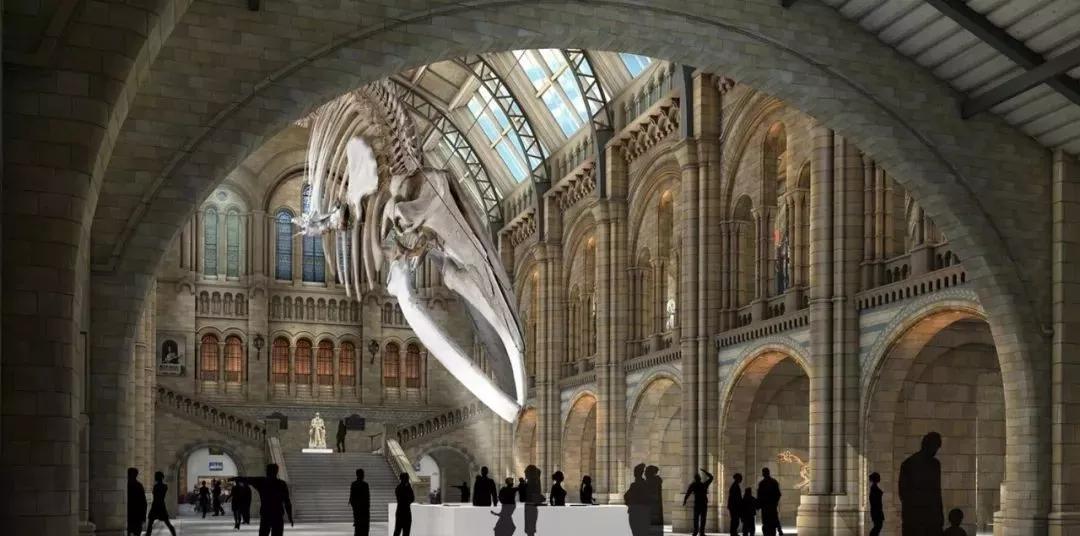 必看纪录片推荐建议收藏,推荐10部必看纪录片