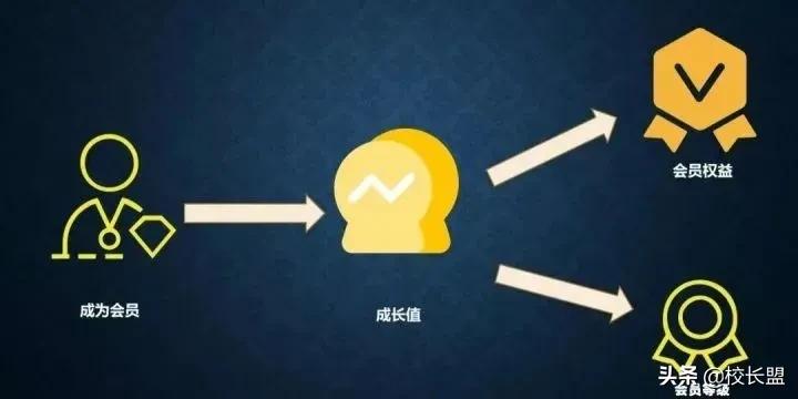 教培机构如何利用会员制,教培机构会员服务计划