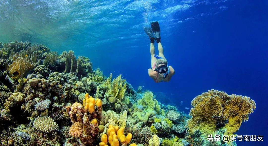 越南旅游的海岛,越南小众海岛