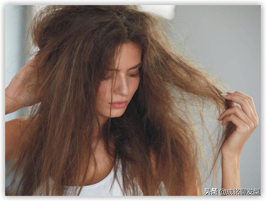 头发干枯毛躁用什么洗发水柔顺,头发干枯毛躁可以用蓬松洗发水吗