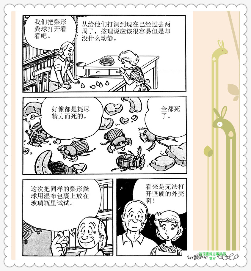昆虫记法布尔动画片,昆虫记法布尔全套