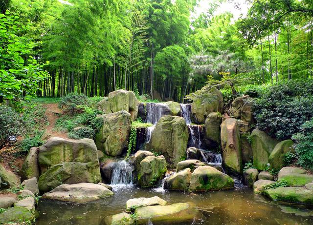 苏州最美古典园林,苏州园林有哪些好看的景观