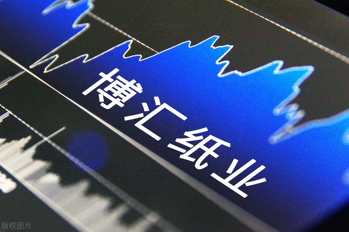 600966博汇纸业股吧东方财富网,博汇纸业2024年报分析