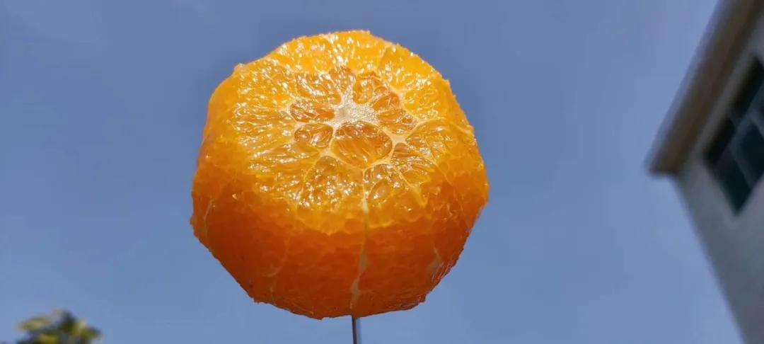 襄阳四季青水果批发市场位置,襄阳最大水果交易市场