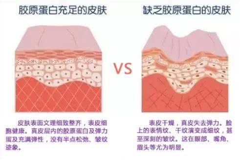 丽皙白好用吗,丽皙白亚太区运营总部