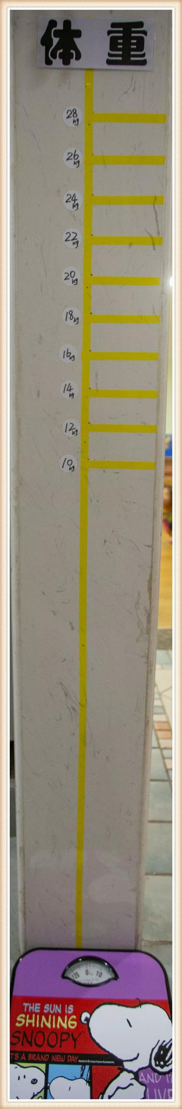 大班新学期环境创设实施方案,大大的小小的主题活动及环境创设