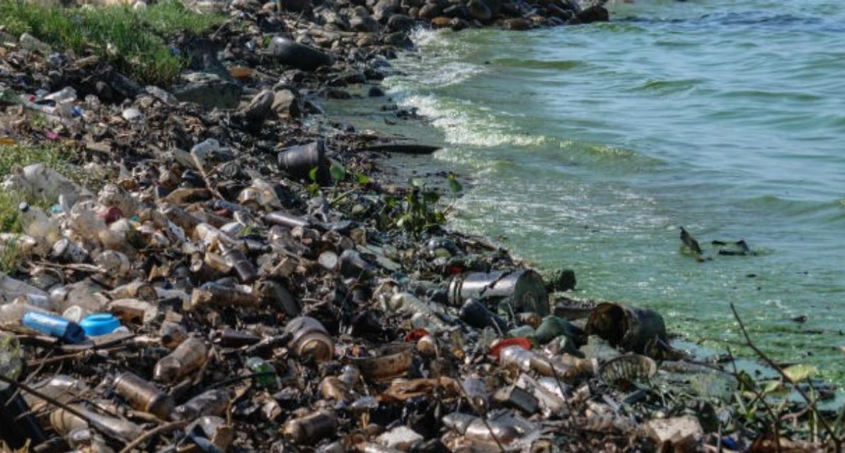 本世纪的生态污染对地球环境的极端影响