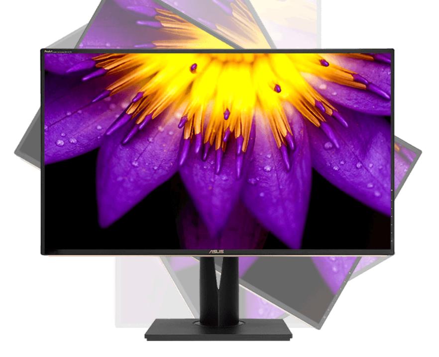 旗舰实力服务创作专家，华硕打造PA329C修图神器