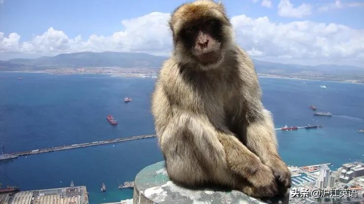 美国特点旅游景点口香糖墙,世上最恶心的景点墙上全是口香糖