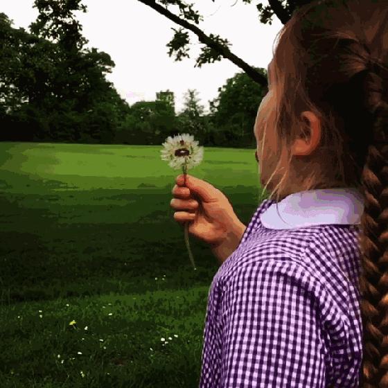 论语里的经典成语,论语中经常用到的成语