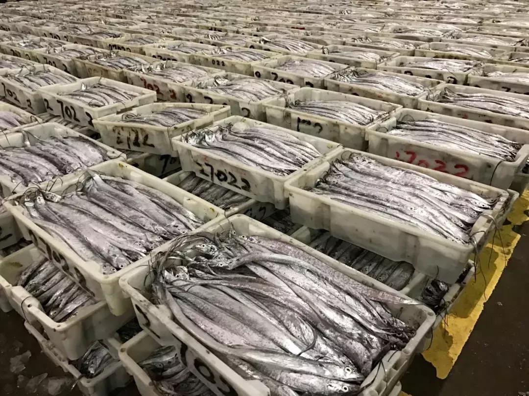 石浦渔港海鲜,石浦渔港码头海鲜