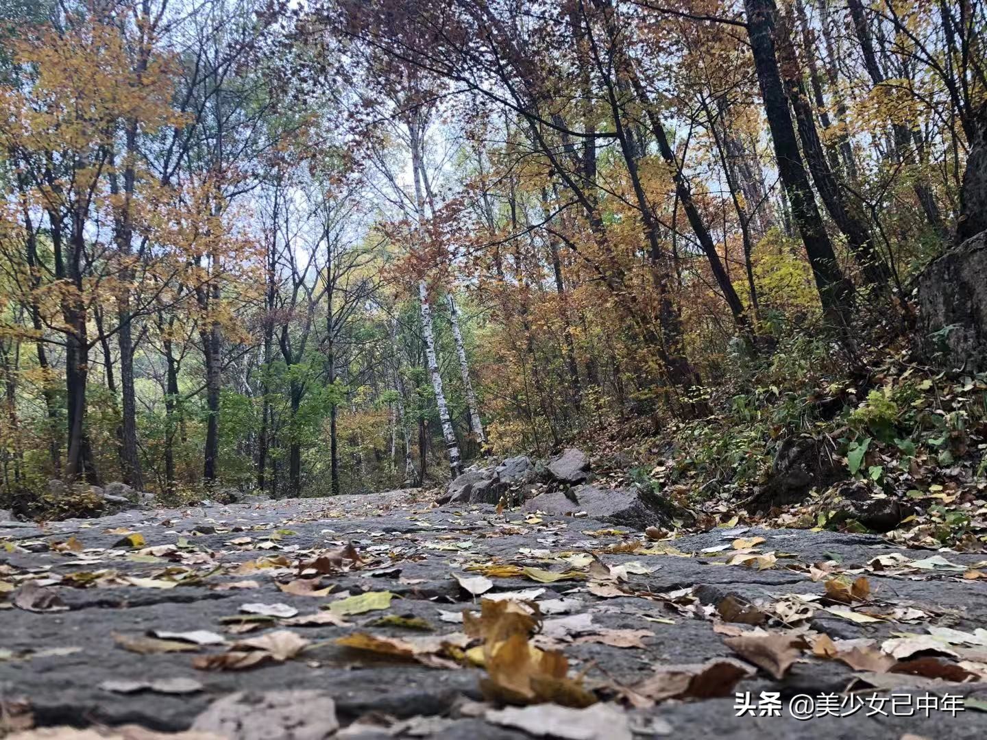 北京喇叭沟门原始森林公园,北京喇叭沟门原始森林攻略
