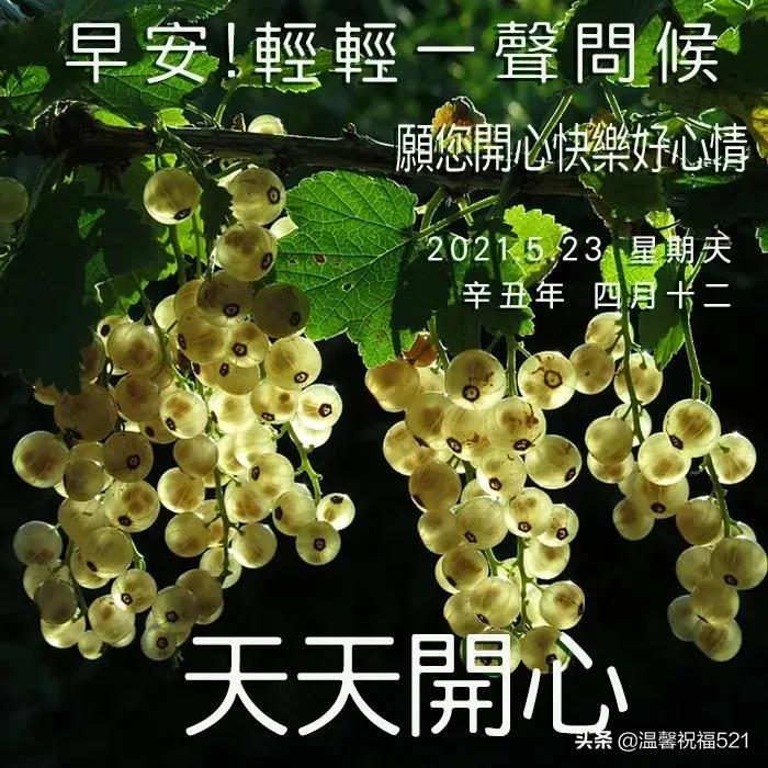 发条短信把你叫，催你早起对镜笑，营养早餐早备好，亲爱的，早安