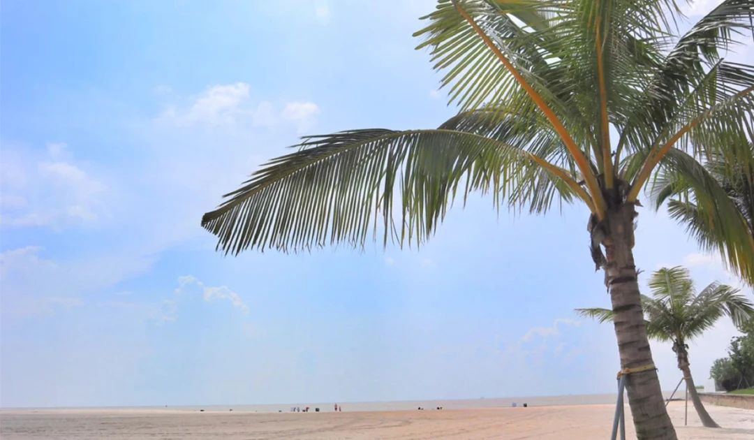 珠海的一个岛屿生活淳朴安静,珠海的几个岛屿一天能耍完吗