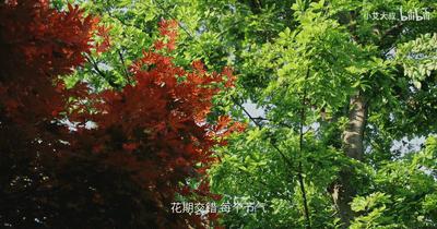 顶级轻奢豪宅屏风隔断,1.58亿豪宅