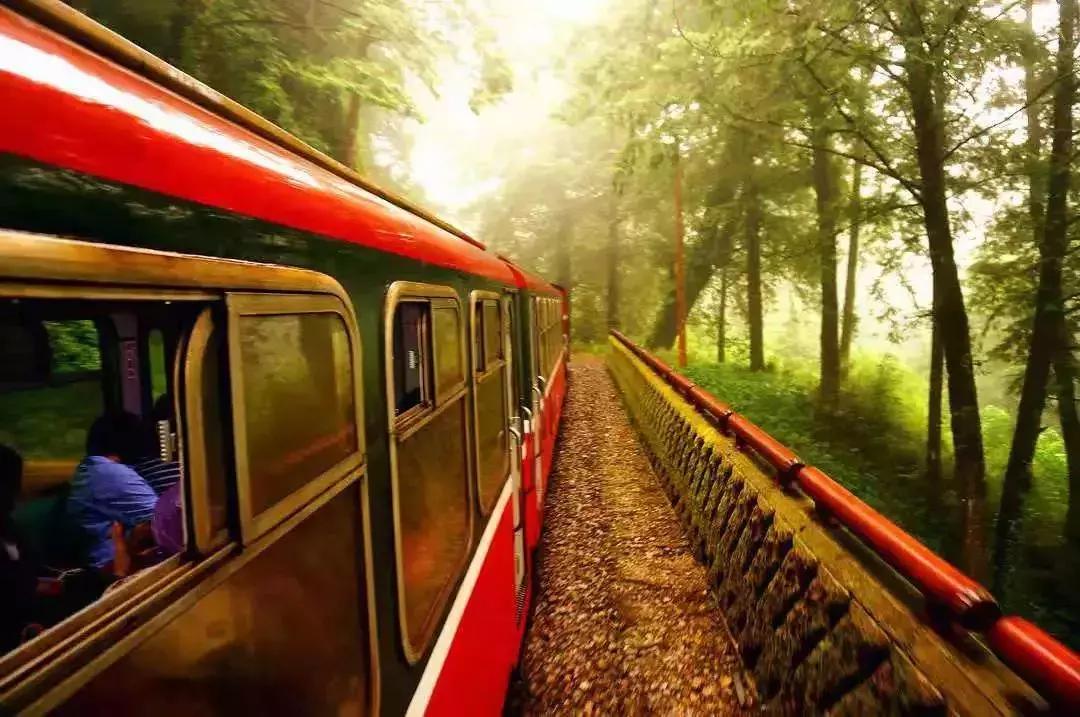 最新关于放假通知的视频,最新放假通知来源