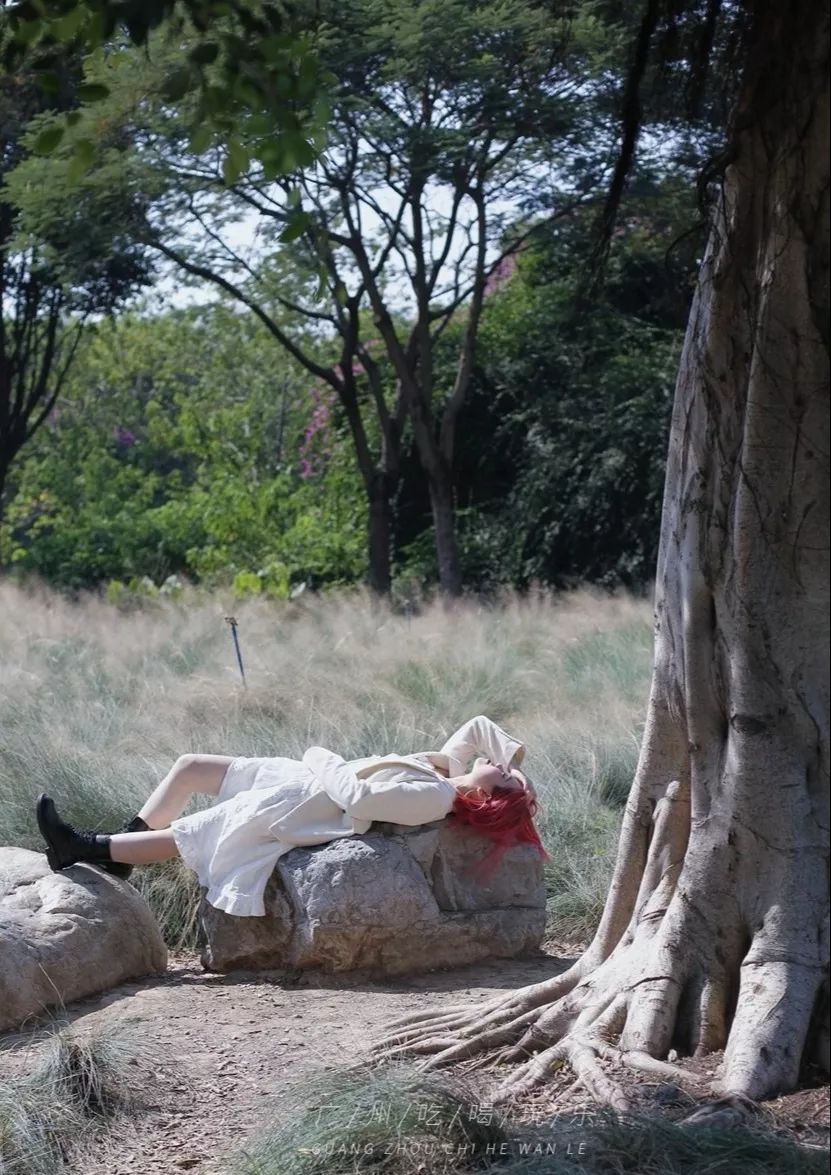 广州免费室内拍照地方推荐,广州拍照免费场景推荐