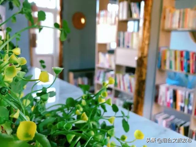 十里杏花谷里，藏着深秋的诗情画意