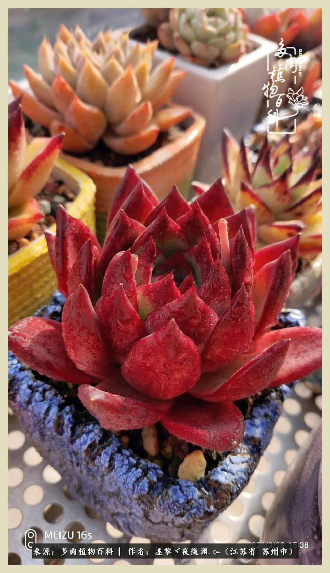 秋尽冬来岁月不居时节如流,岁月不居时节如流水