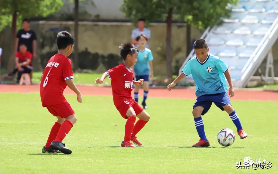 区中小学足球联赛,体教融合杯中学篮球赛