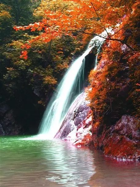 西安自驾秦岭秋色最好的地方,西安自驾一日游的绝佳去处秦岭